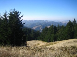 from Mt Tam